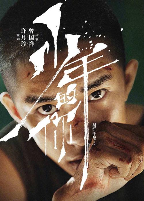高仿挪威护照